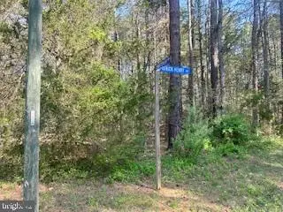 186 Patrick Henry Dr, Ruther Glen, VA 22546 - #2