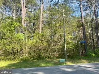 186 Patrick Henry Dr, Ruther Glen, VA 22546 - #3