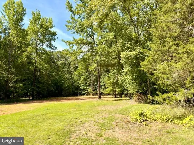 Countyline Church Rd, Woodford, VA 22580 - #2