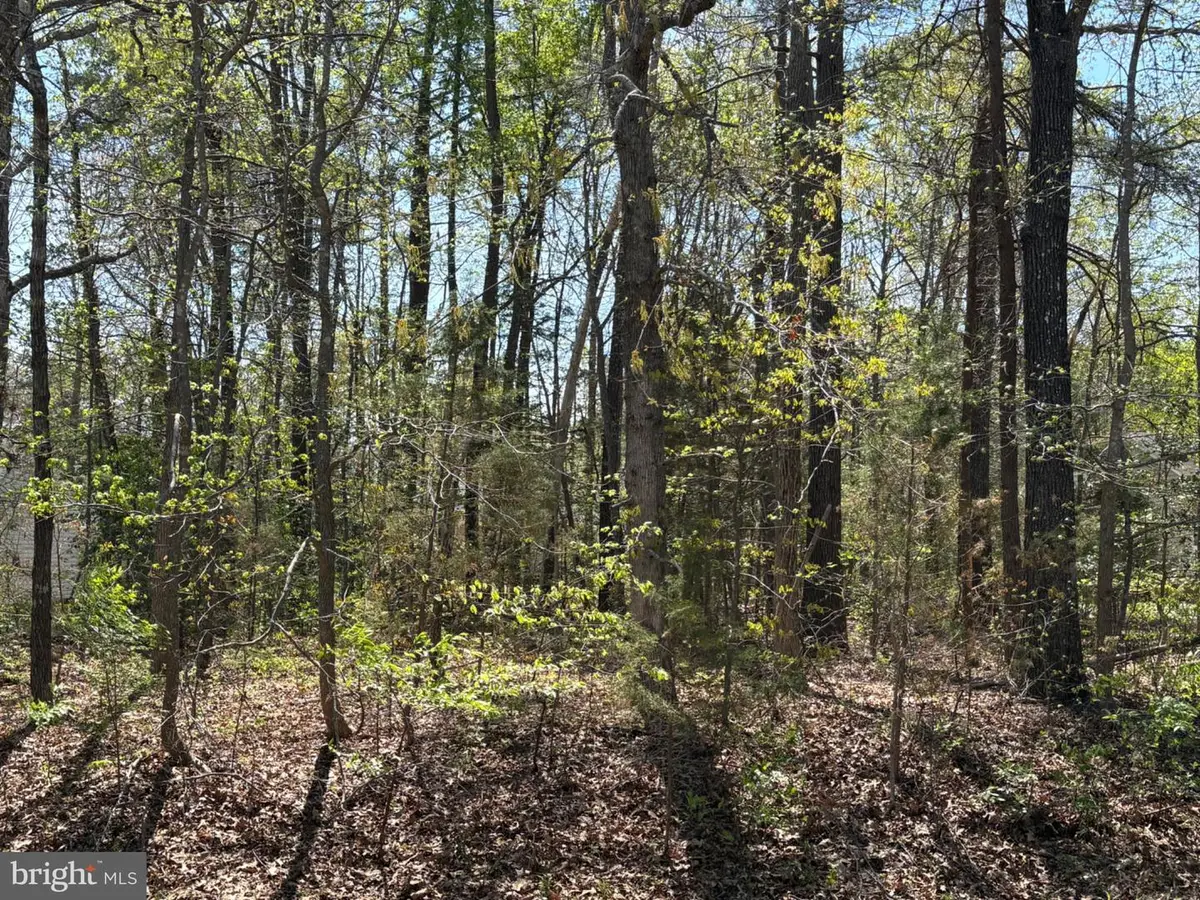 411 Pocahontas Dr, Ruther Glen, VA 22546 - #1