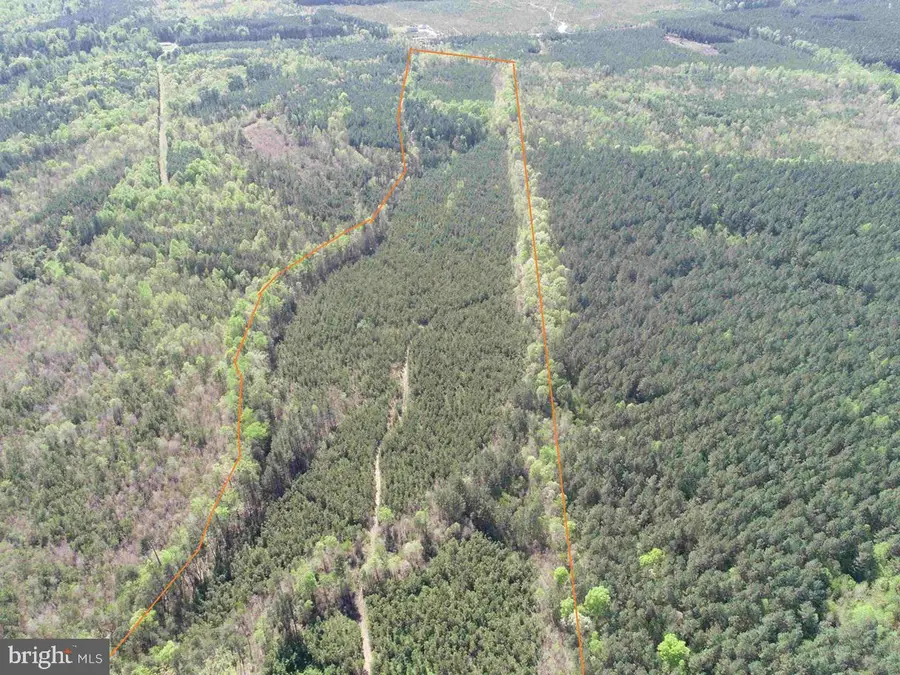 Shipping Road (tract: 7279 Svc), Dinwiddie, VA 23841 - Image #2