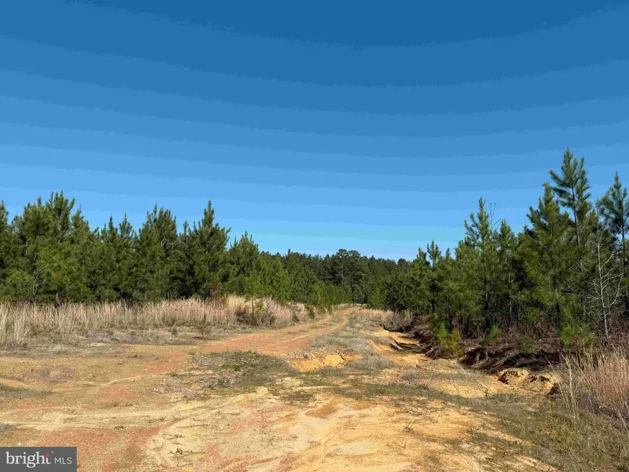 Shipping Road (tract: 7279 Svc), Dinwiddie, VA 23841 - Image #3