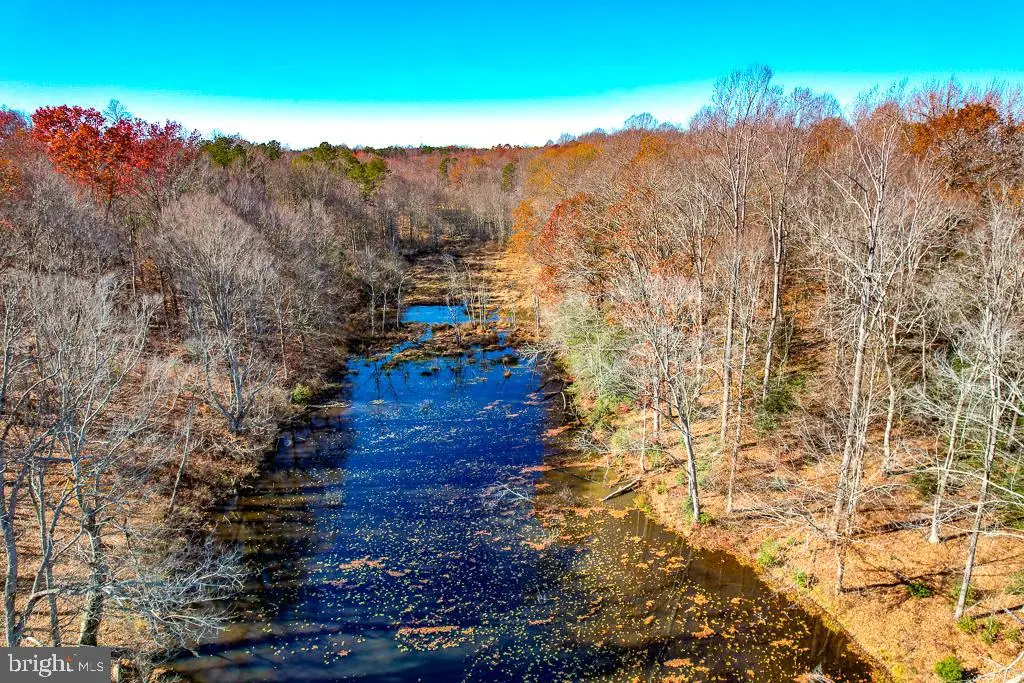 20.76 Bull Neck Rd, Caret, VA 22436 - Image #1