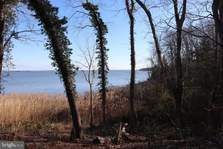 Mt Prospect Rd, Laneview, VA 22504 - Image #2