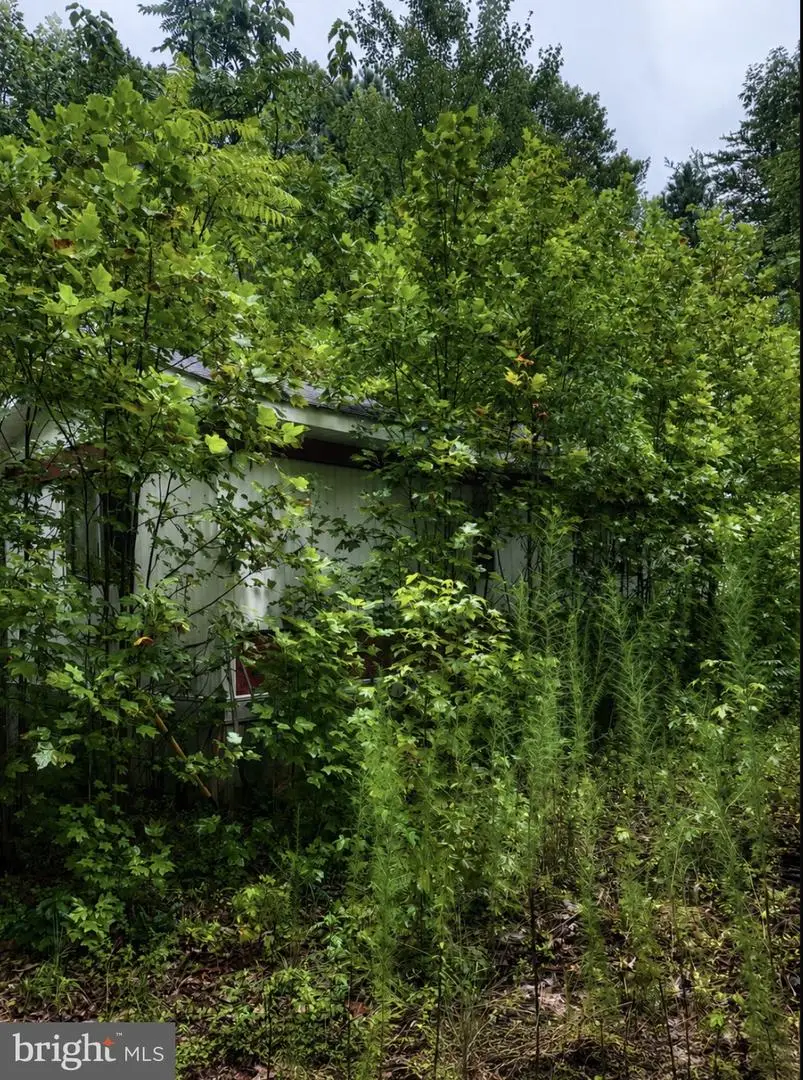 448 Pilkington Rd, Hustle, VA 22476 - #1