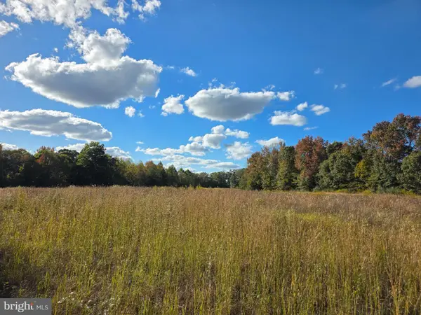 Spindles Mill Pond Rd, HUSTLE, VA 22476