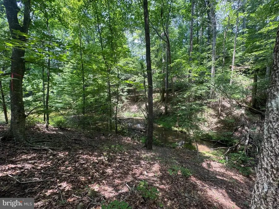 #lot 64 Ella Marie Ct, Wirtz, VA 24184 - Image #2
