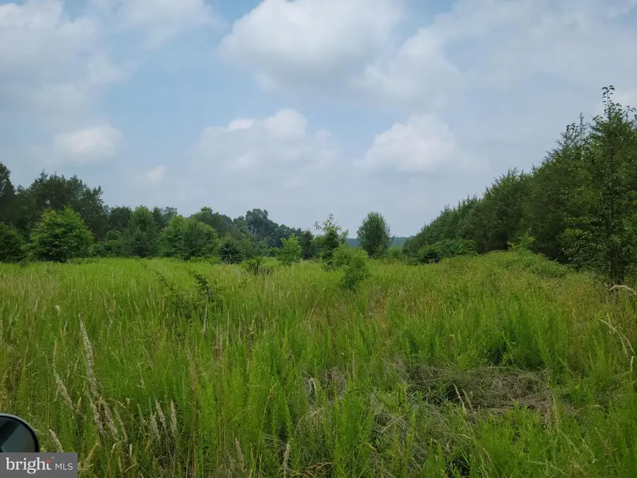 Unassigned, Midland, VA 22728 - Image #3