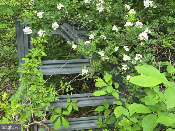 4127 Hardscrabble, LINDEN, VA 22642