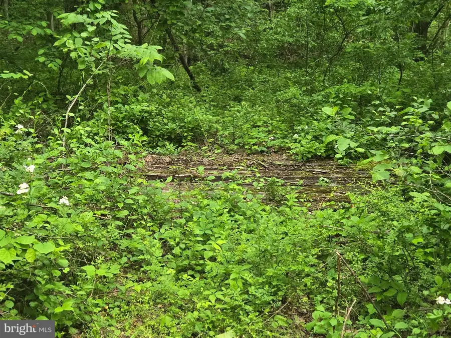 4127 Hardscrabble, Linden, VA 22642 - Image #2