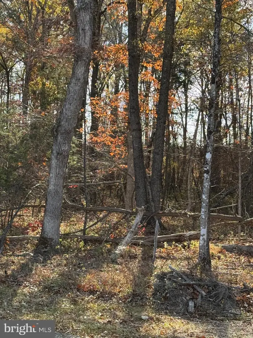 00 Baines Corner Road, Bealeton, VA 22712 - Image #2