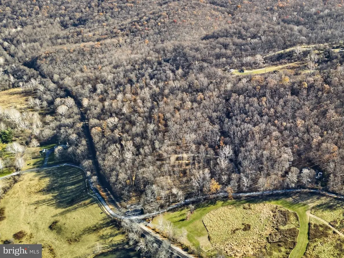 Fiery Run Rd, Linden, VA 22642 - Image #1