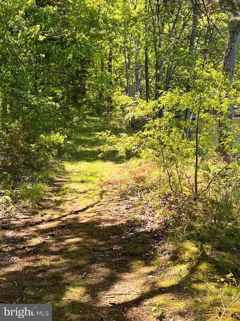 Elk Run, Bealeton, VA 22712 - #3