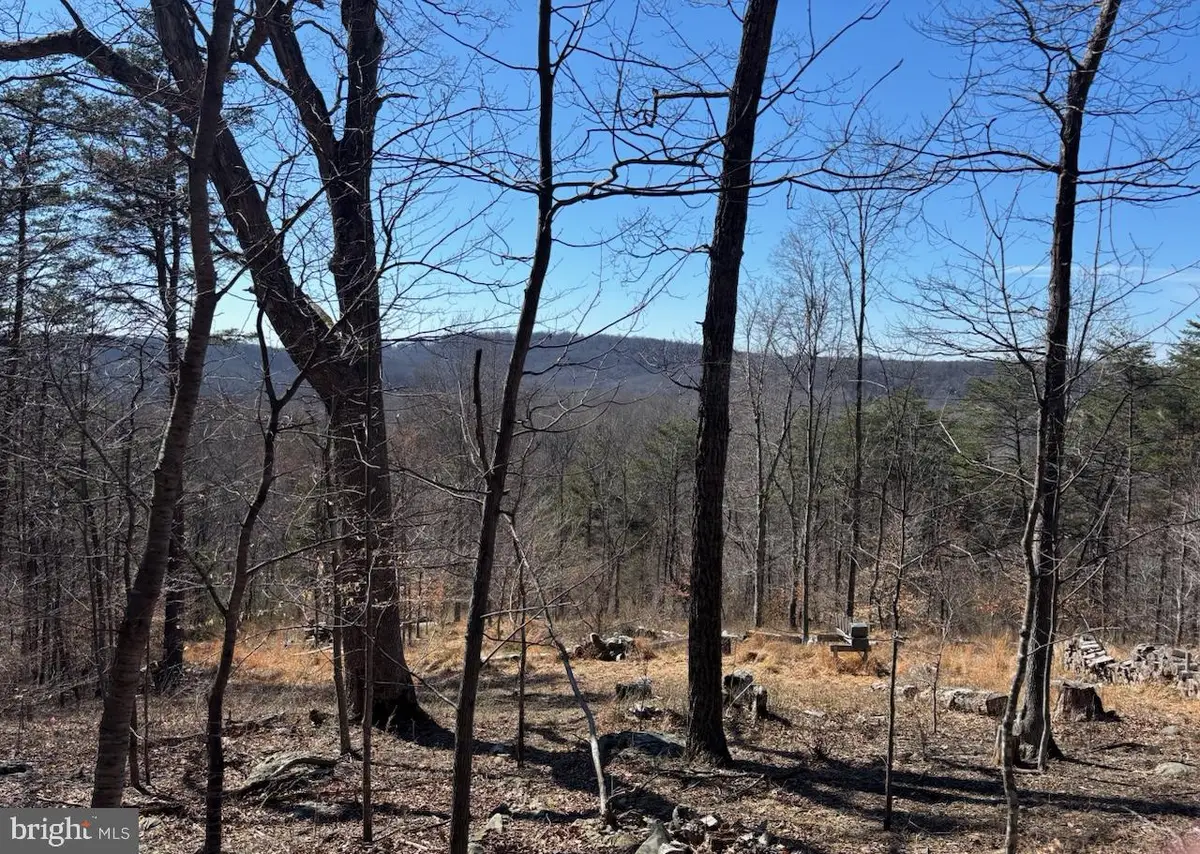 Carters Run, Marshall, VA 20115 - #1