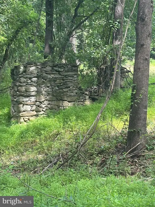 Mount Nebo Church Rd, MARSHALL, VA 20115