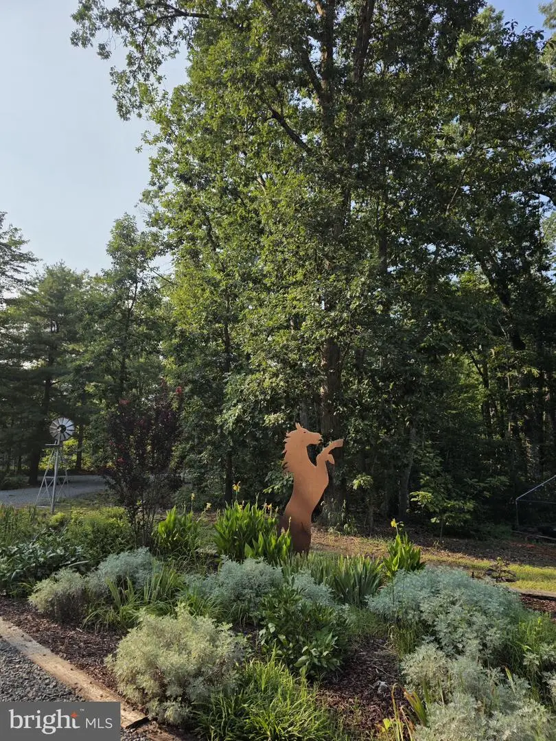 5099 Courtneys Corner Rd, Sumerduck, VA 22742 - #2