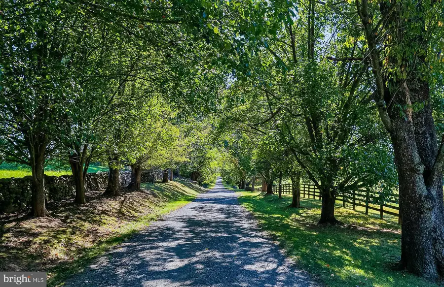 1610 Delaplane Grade Rd, Upperville, VA 20184 - #2