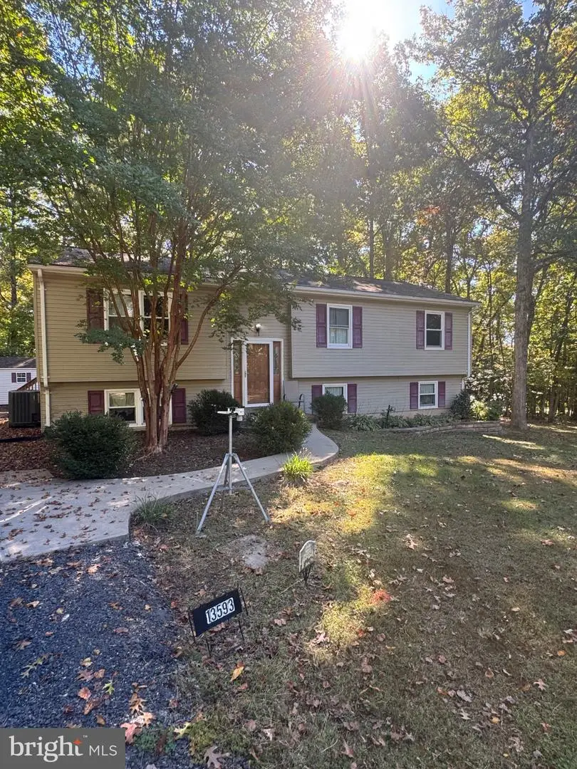 13593 Silver Hill Rd, Sumerduck, VA 22742 - #1