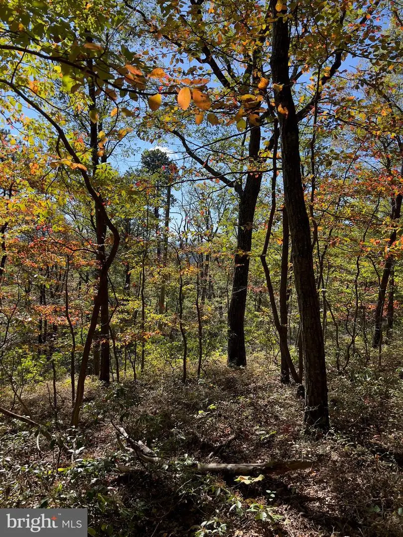 Lot 17 Fox Trail, Winchester, VA 22602 - Image #2