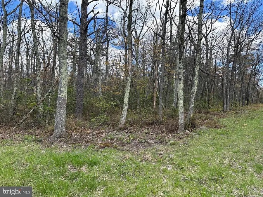 Lot 102 Bow Wood Trail, Winchester, VA 22602 - Image #3