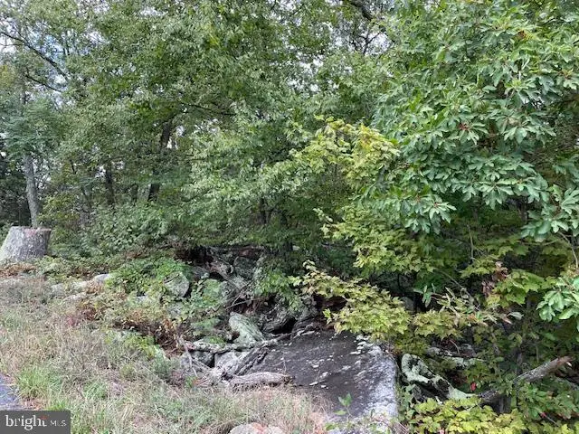 Lot 76 Bear Trl, Winchester, VA 22602 - Image #2