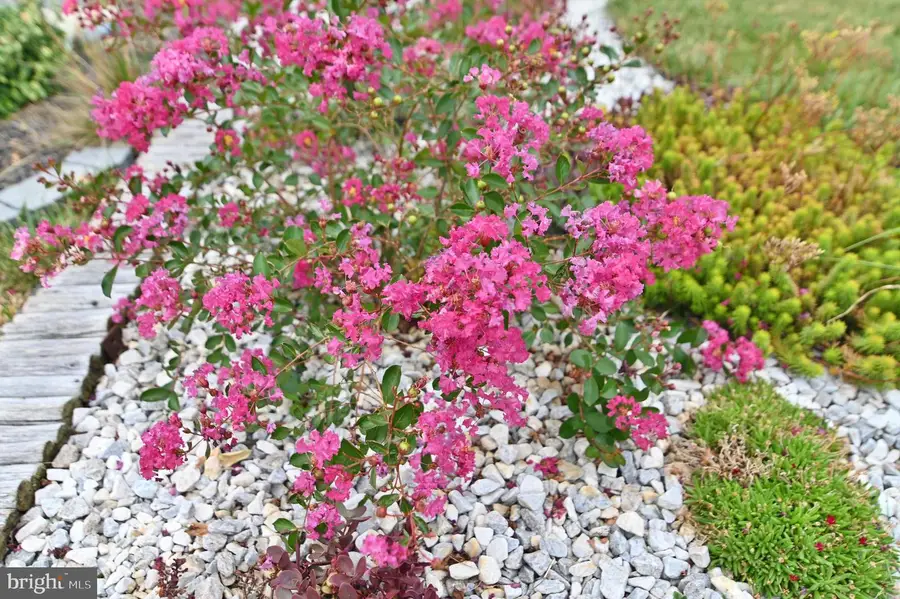 105 Keller Ct, Winchester, VA 22602 - #3