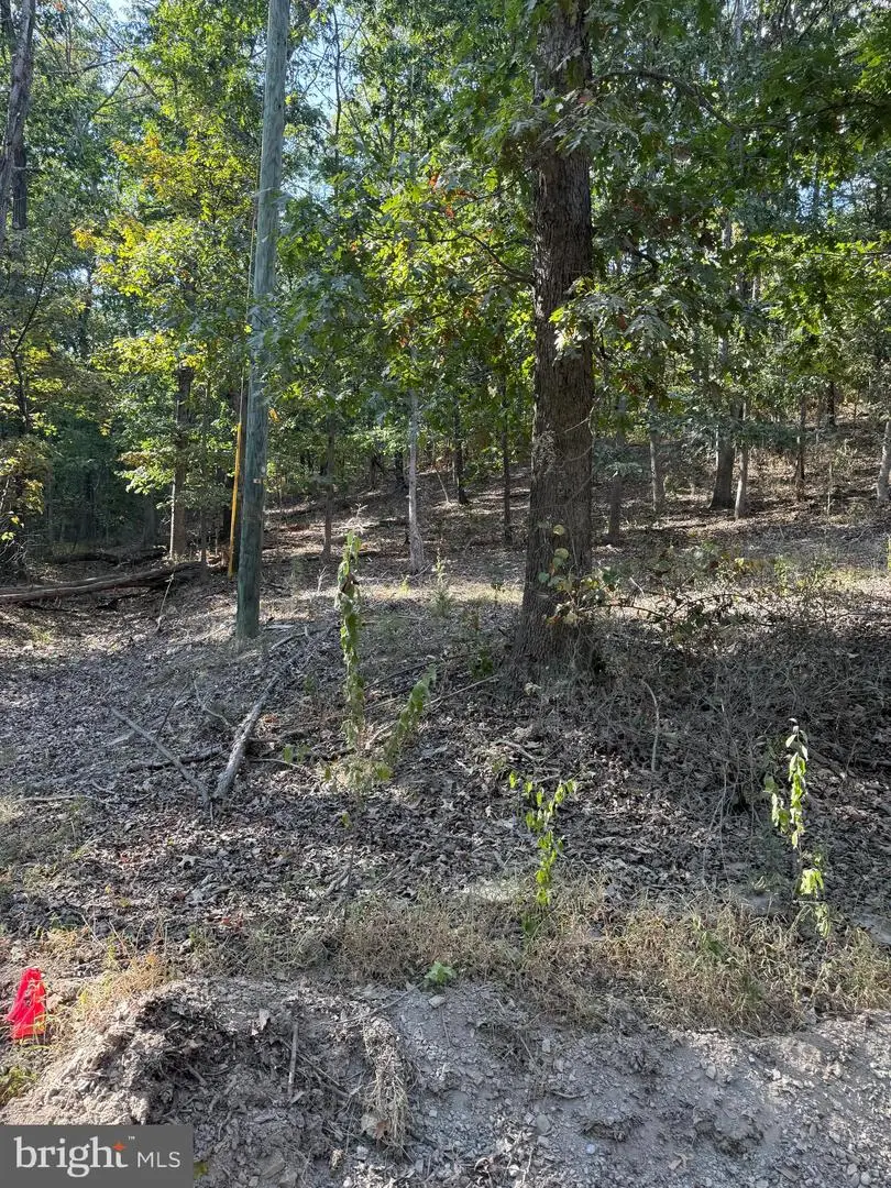 Light Road, Winchester, VA 22603 - Image #3