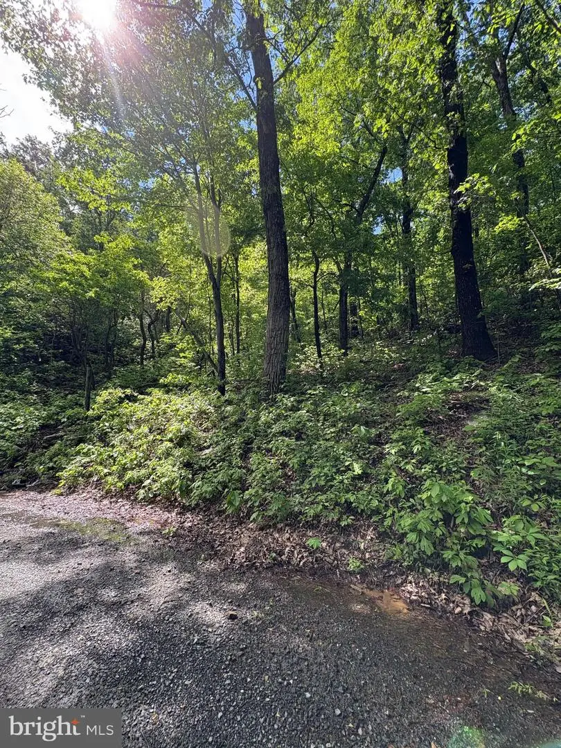 Lot 147 Tomahawk Trail, Winchester, VA 22602 - Image #1