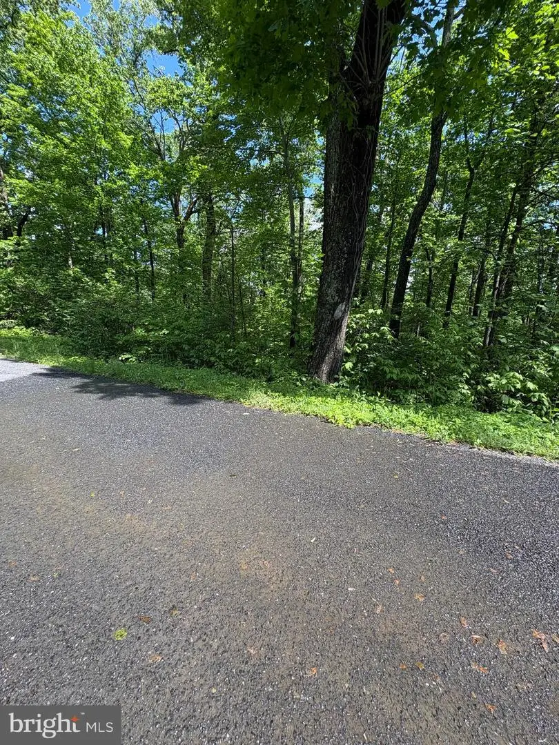 Lot 246 Inca Trail, Winchester, VA 22602 - Image #2