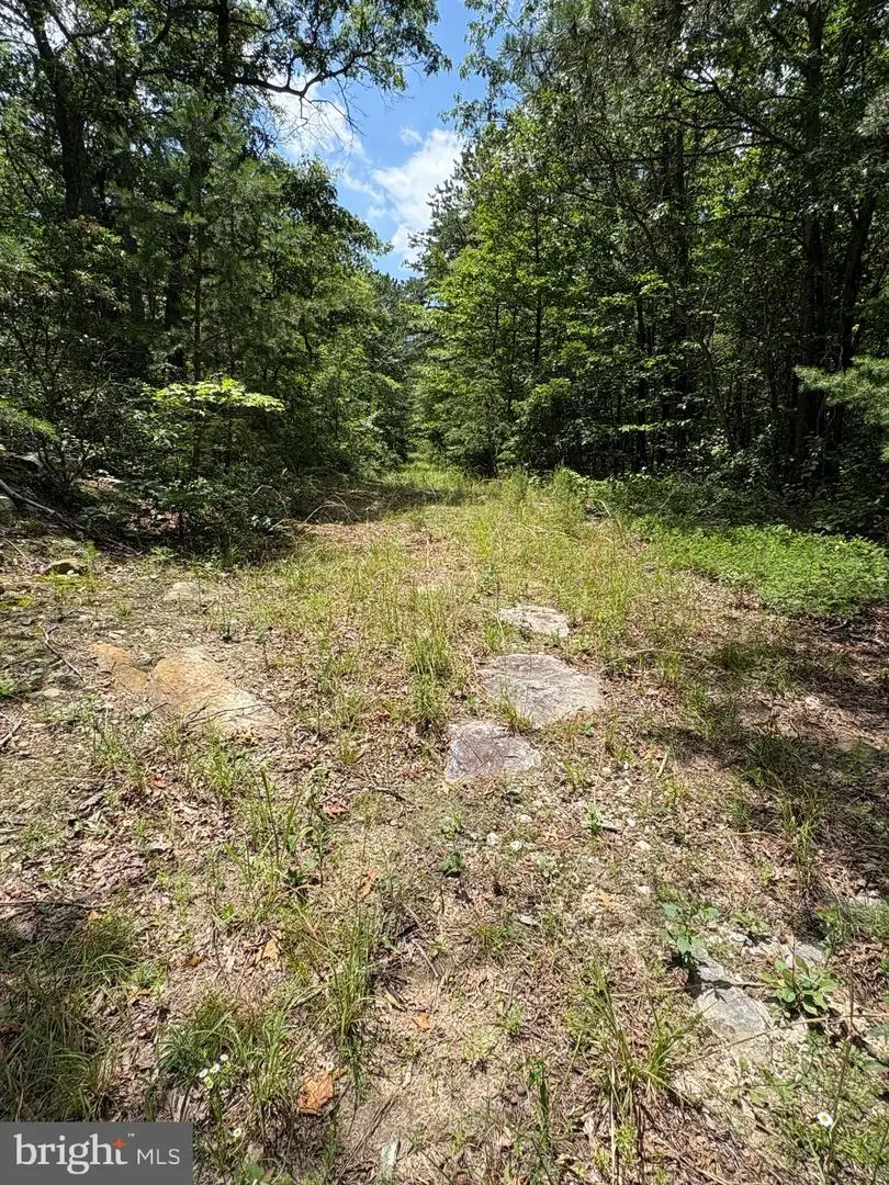 Lot 57 Chrysanthemum Trail, Star Tannery, VA 22654 - Image #1