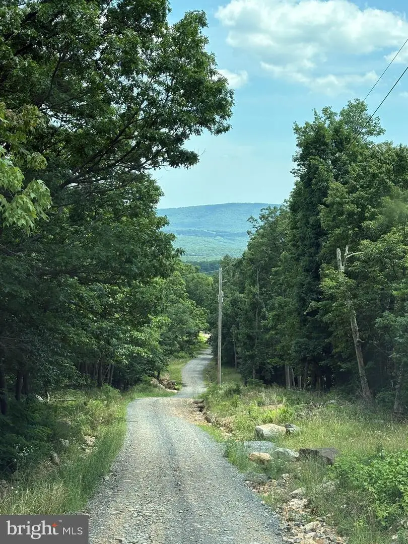 Lot 57 Chrysanthemum Trail, Star Tannery, VA 22654 - Image #2