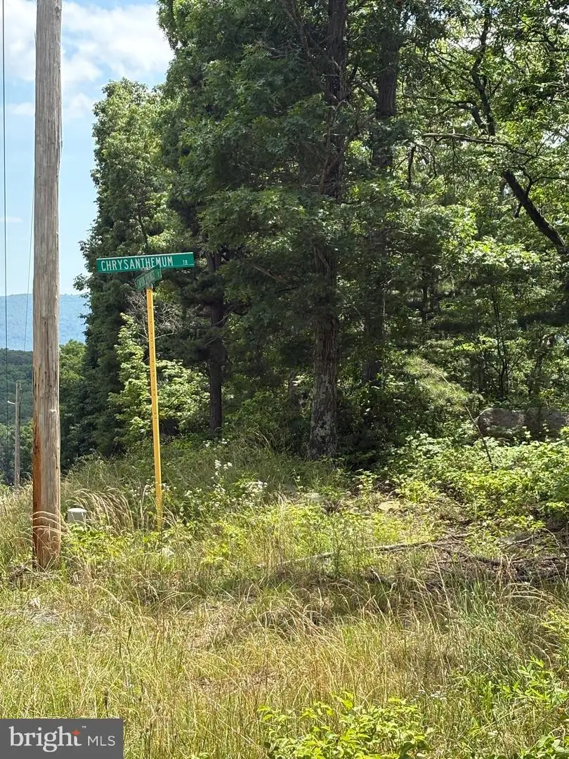 Lot 57 Chrysanthemum Trail, Star Tannery, VA 22654 - Image #3