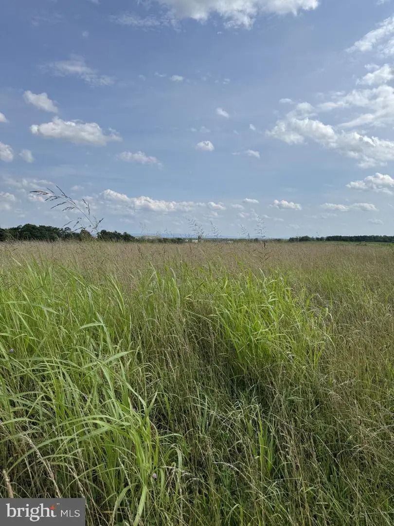 Lot 2 Glebe Dr, Clear Brook, VA 22624 - Image #1