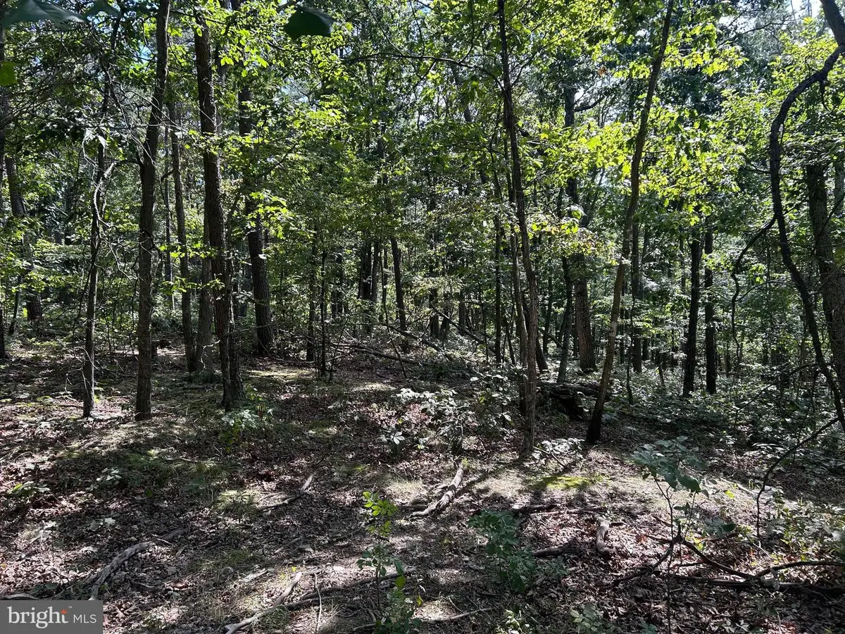 Gun Barrel Lane, Winchester, VA 22603 - Image #1