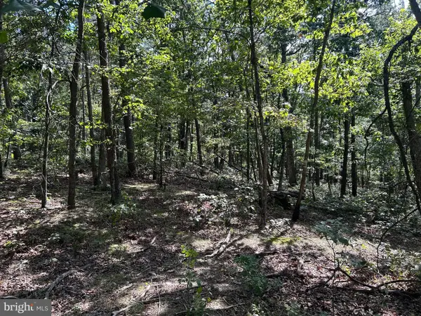 Gun Barrel Lane, WINCHESTER, VA 22603