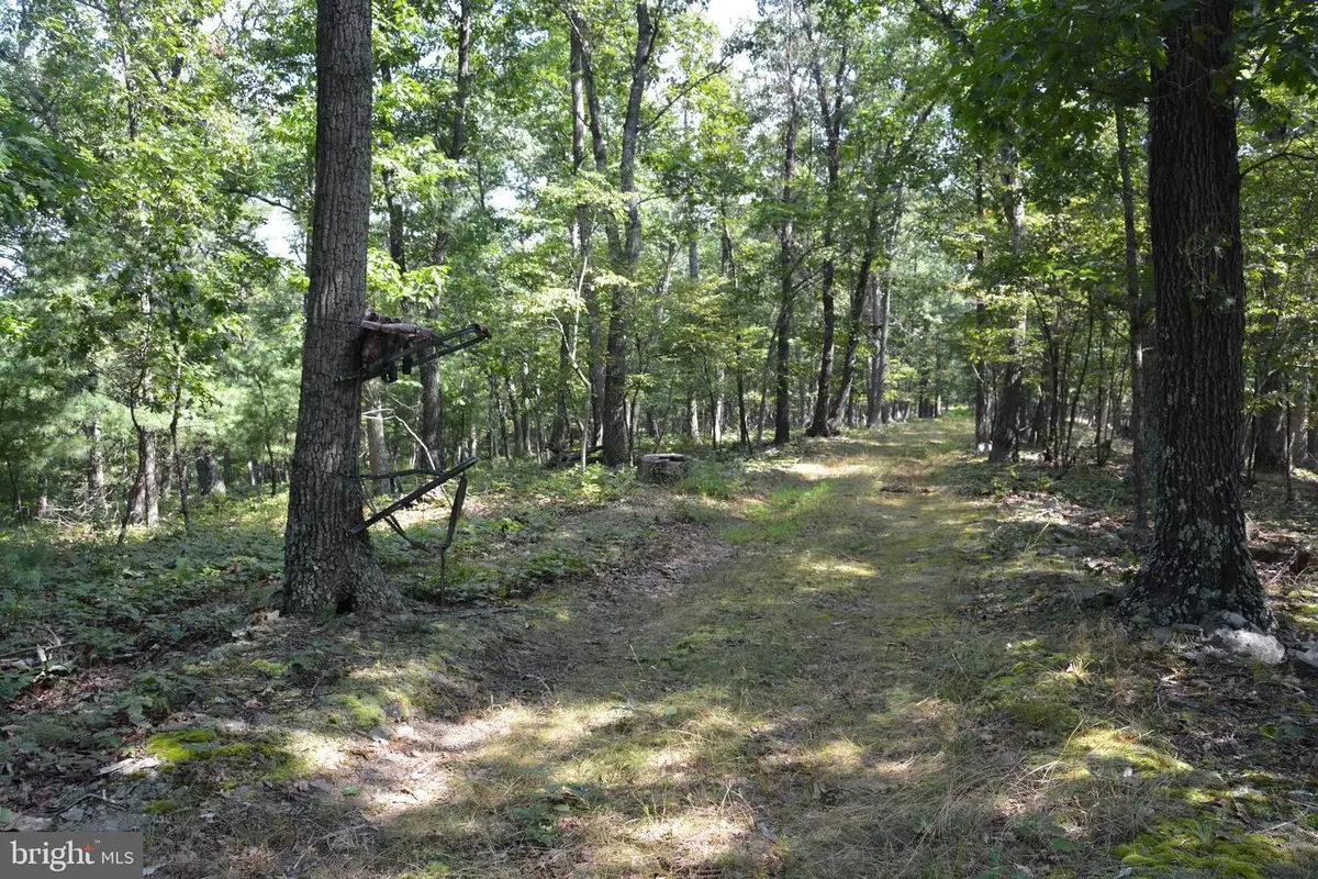 Brush Creek Rd #30+ Acres, Cross Junction, VA 22625 - Image #1