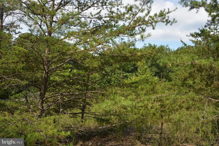 Brush Creek Rd #30+ Acres, Cross Junction, VA 22625 - Image #3