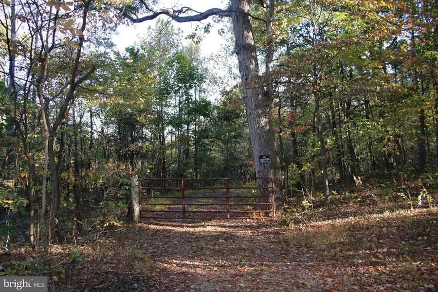 598 Tuckahoe Ln, Winchester, VA 22602 - Image #3