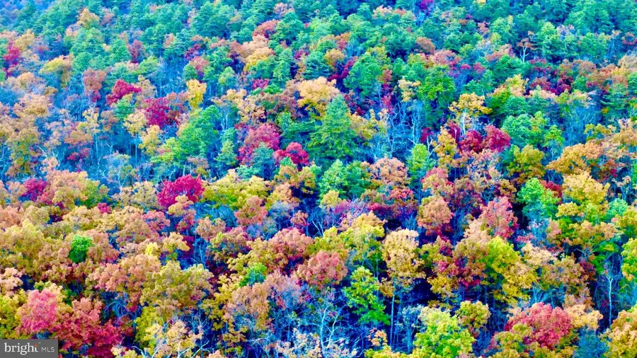 -lot 5a Fox Trl, Winchester, VA 22602 - Image #2