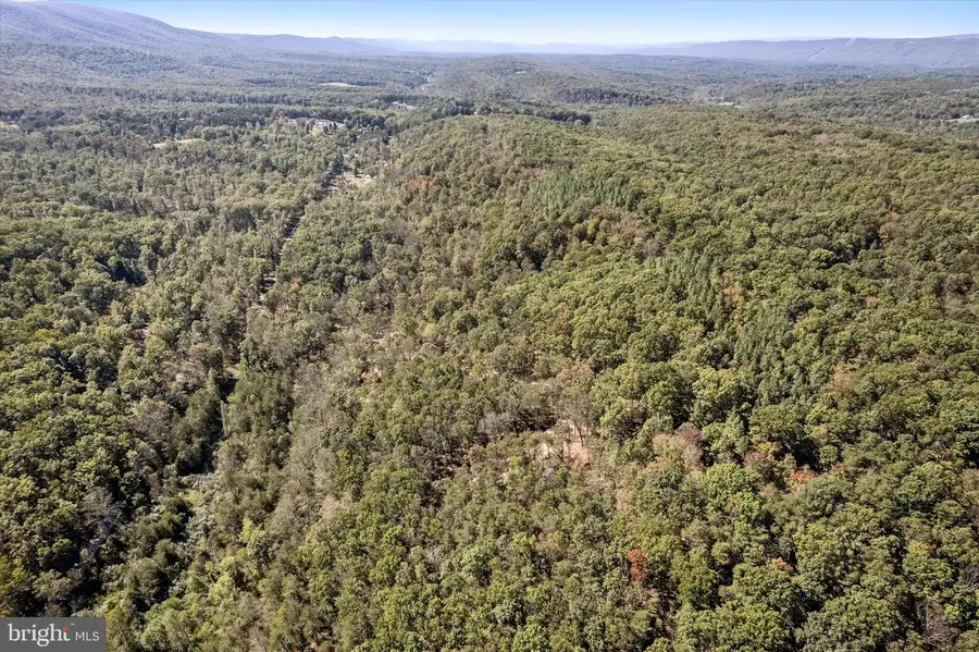 Lot 1 Back Creek Rd, Gore, VA 22637 - Image #2