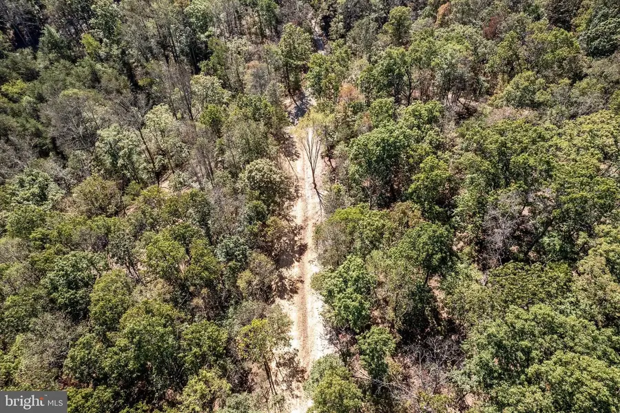 Lot 1 Back Creek Rd, Gore, VA 22637 - Image #3