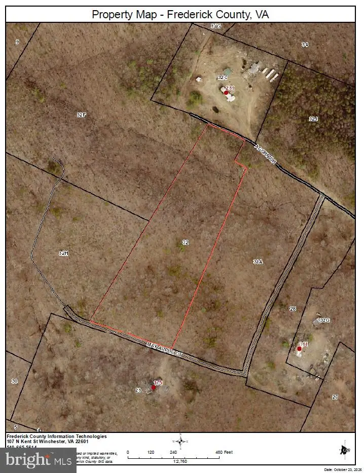 May Apple Court, Cross Junction, VA 22625 - Image #2