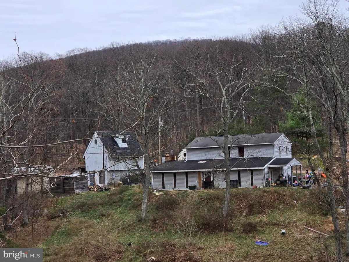 163 Cabin Ln, Winchester, VA 22603 - #1