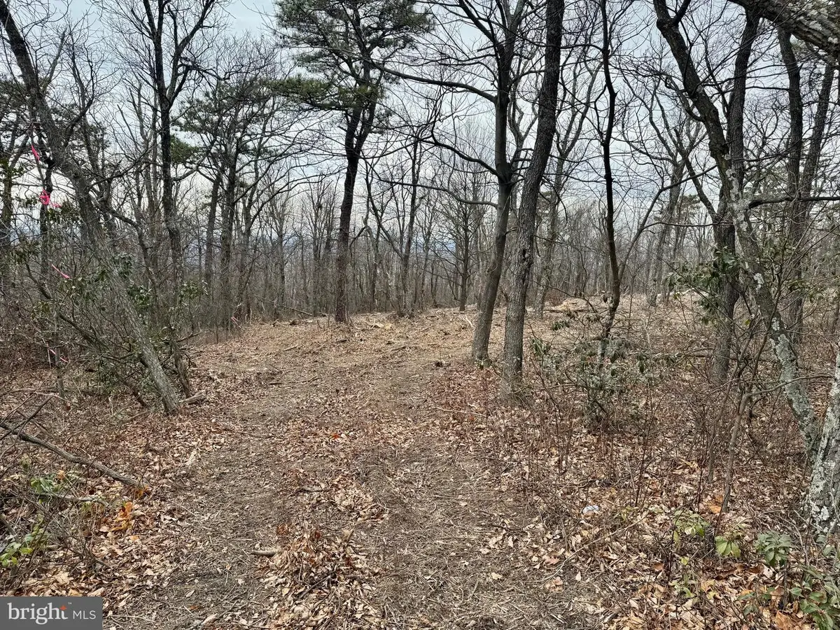 -lot 153 Bobcat Trl, Winchester, VA 22602 - Image #1