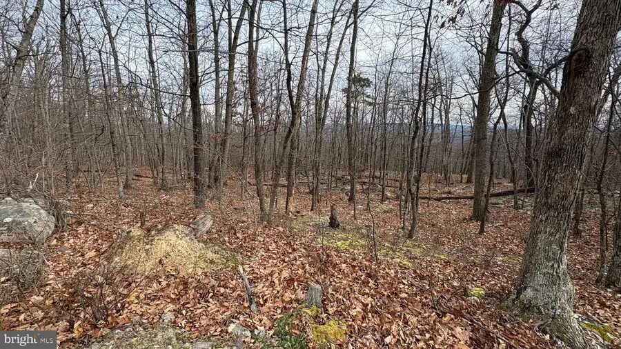 Lot 57, 58, 59 Iroquois Trl, Winchester, VA 22602 - Image #3