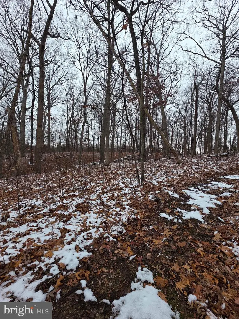 Huttle, Thackerville, VA 22645 - Image #1