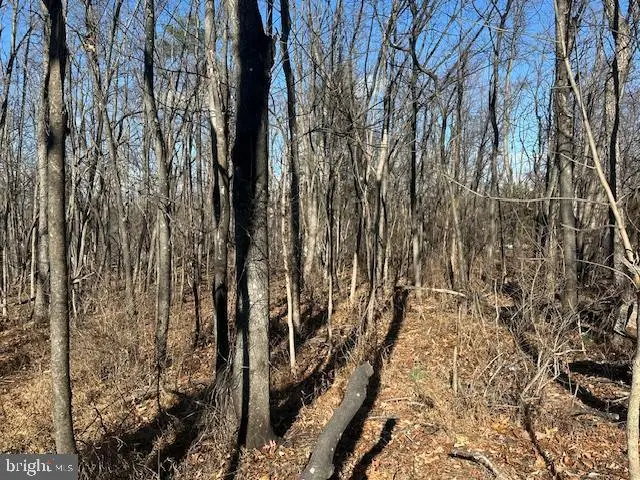 105 Quail Ct, Cross Junction, VA 22625 - Image #3