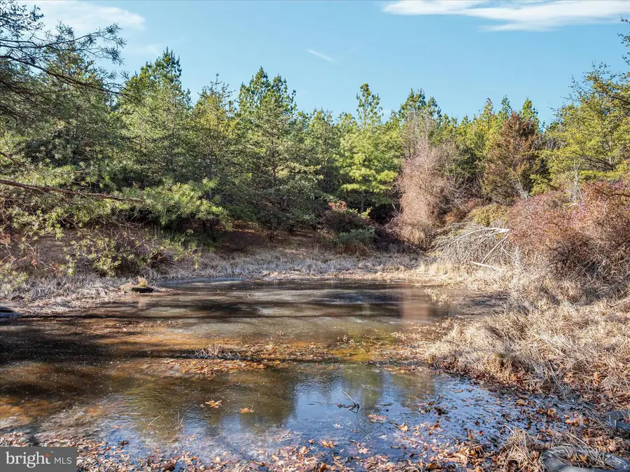 1990 Collinsville Rd, Cross Junction, VA 22625 - Image #2