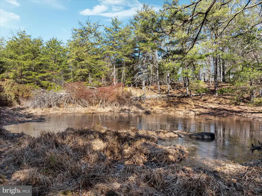 1990 Collinsville Rd, Cross Junction, VA 22625 - Image #3