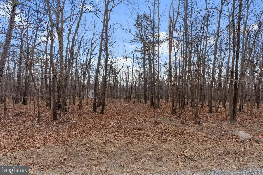 Lot 50 Cardinal Dr, Winchester, VA 22602 - Image #2